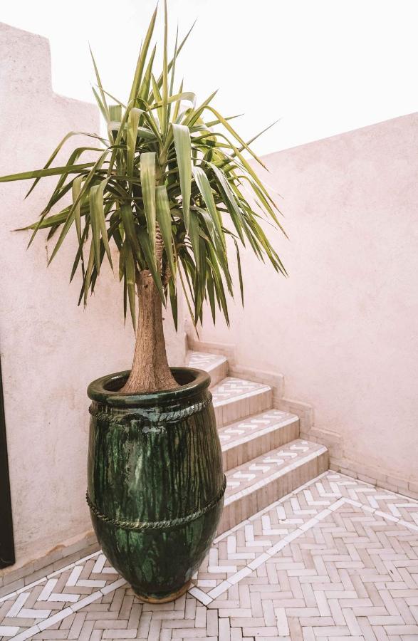 Hotel Oasis Dakhla Ngoại thất bức ảnh